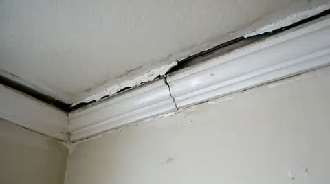 Crown molding pulling away from the ceiling, leaving a dark gap