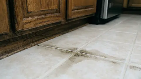Damp stain spreading through tile grout beside kitchen cabinets